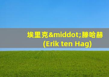 埃里克·滕哈赫(Erik ten Hag)